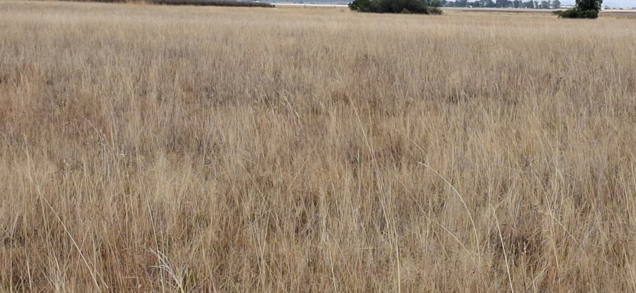 Commercial Property for Sale in Bloemfontein Rural Free State